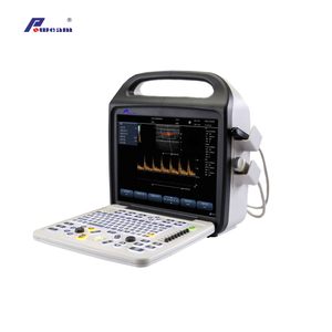 Hospital Portable Color Doppler Ultrasound (C10)